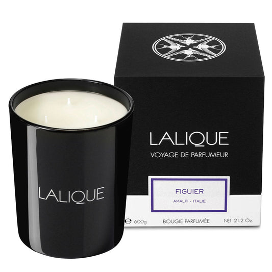 Fig Tree, Amalfi - Italy, Scented Candle, 600g (Lalique Special Order)