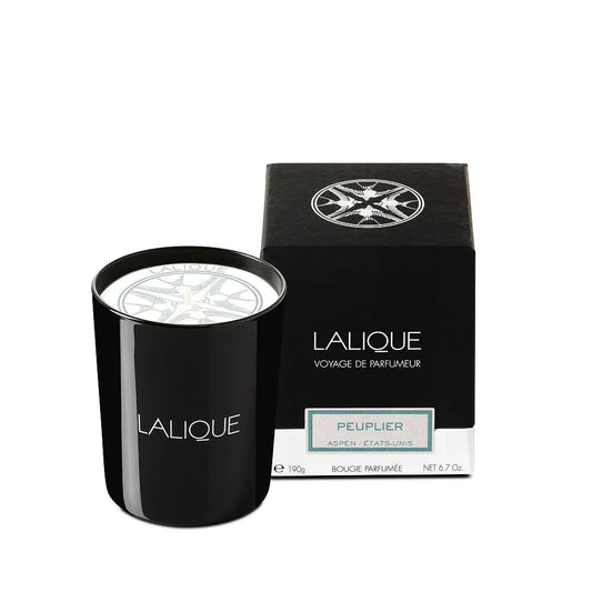 Poplar, Aspen - United States, Scented Candle (Lalique Special Order)