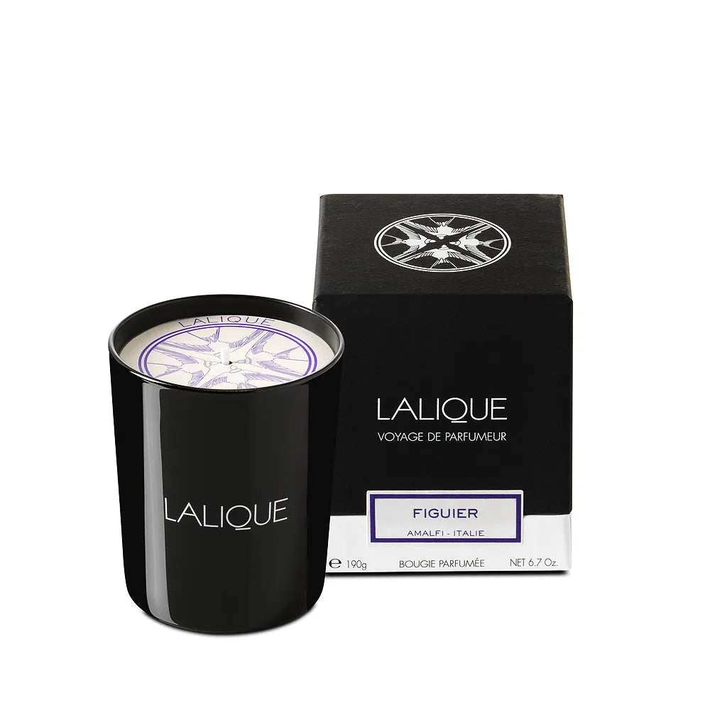 Fig Tree, Amalfi - Italy, Scented Candle (Lalique Special Order)