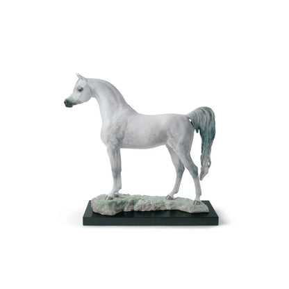 Arabian Pure Breed Horse Figurine (Limited Edition) (Lladro Special Order)