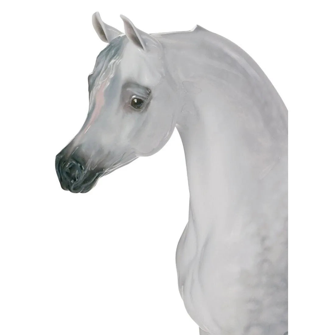 Arabian Pure Breed Horse Figurine (Limited Edition) (Lladro Special Order)