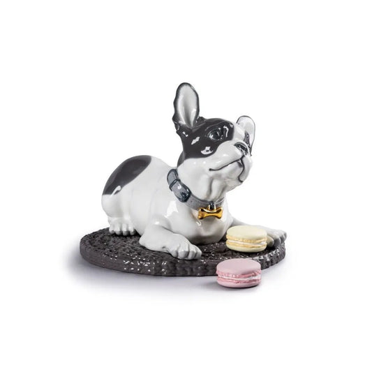 French Bulldog With Macarons Dog Figurine (Lladro Special Order)