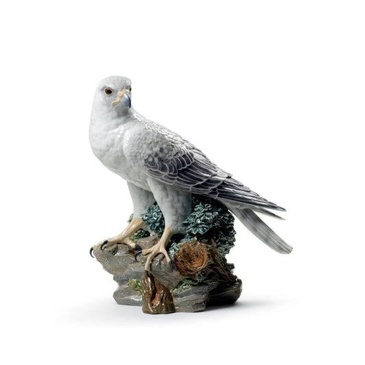 Gyrfalcon Sculpture (Limited Edition) (Lladro Special Order)