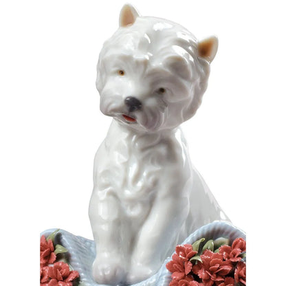 Playful Character Dog Figurine Type 164 (Lladro Special Order)