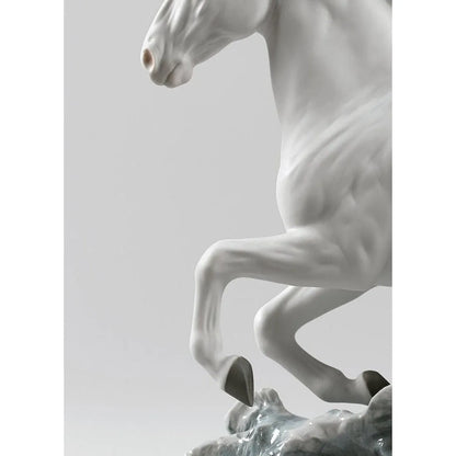 Riding Her Horse On The Seashore Horse & Woman Figurine (Lladro Special Order)