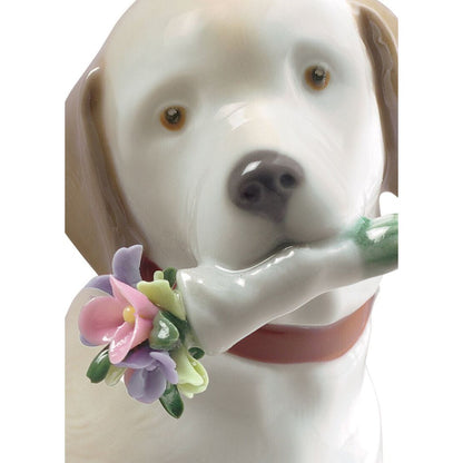 This Bouquet Is For You Dog Figurine (Lladro Special Order)